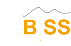 logo-bss